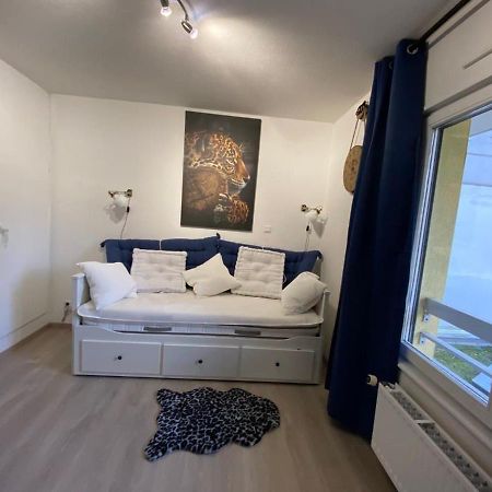 Appartement Esplanade Strasbourg Kültér fotó