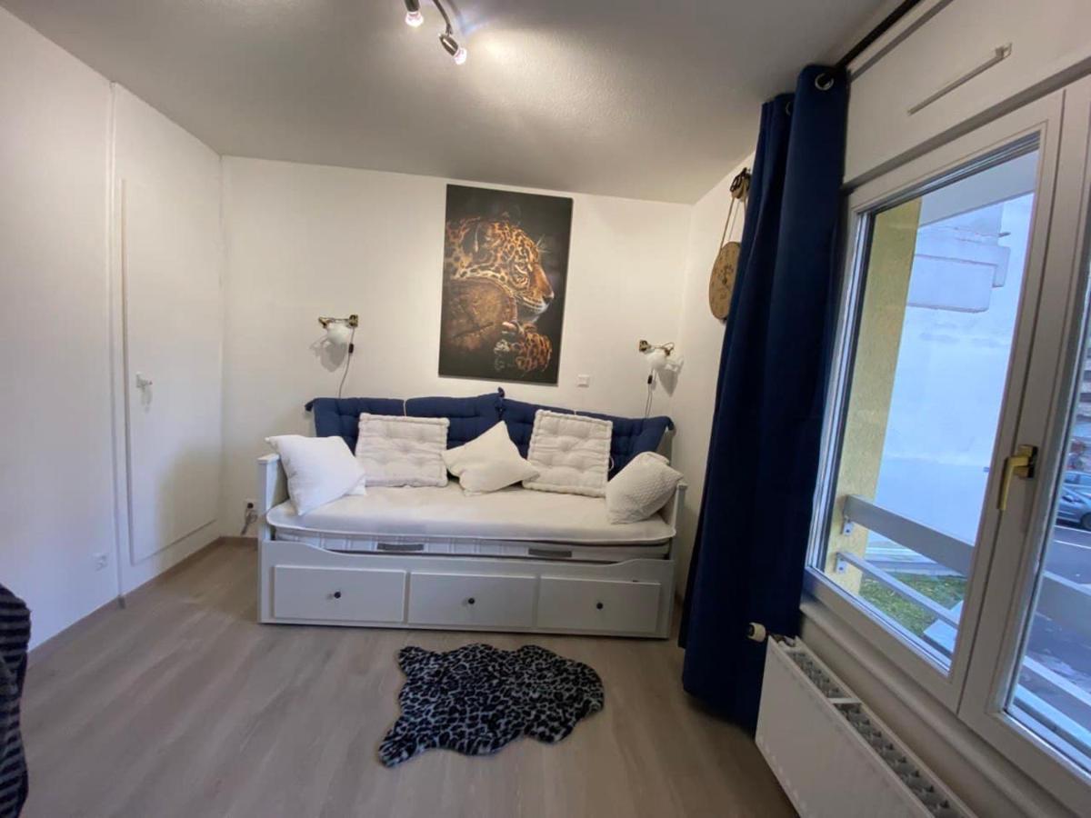 Appartement Esplanade Strasbourg Kültér fotó